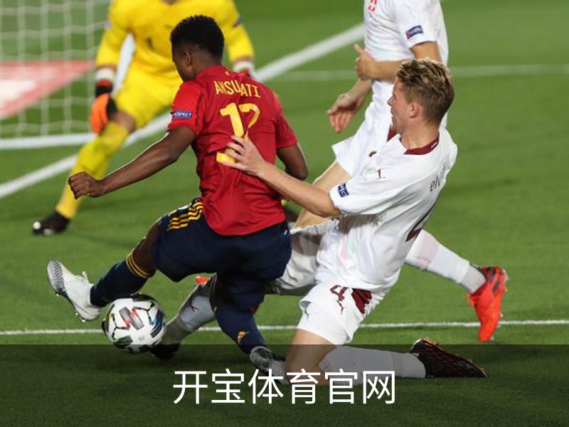 开宝体育官网简介